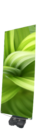 Boomerang
