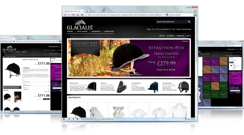 Glacialis Website