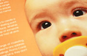 Web Design - FLAVIA
