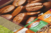 Web Design - FLAVIA