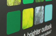 Web Design - Berol