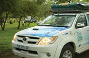 Web Design - Sasol Chevron