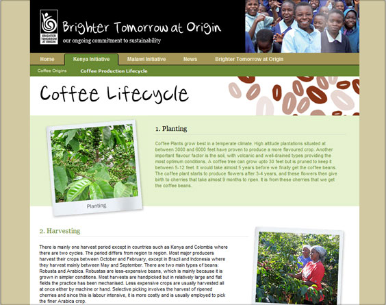 Brighter Tomorrow website